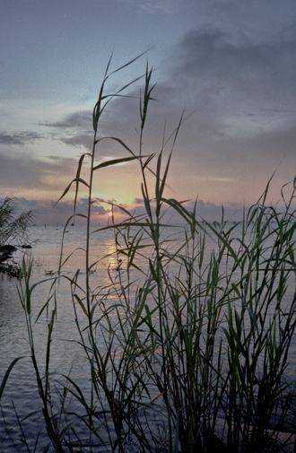 Sunset on the Gulf of Mexico 1984